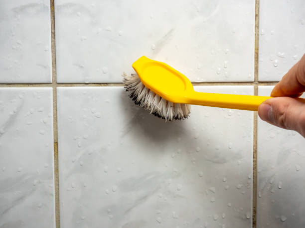 Certified Mold Removal in Helemano, HI