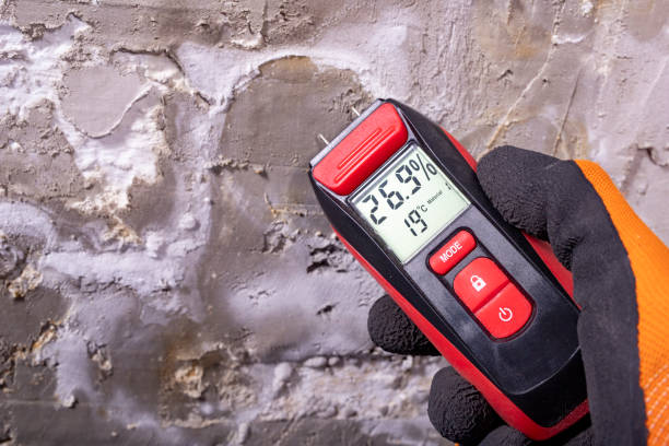 Best Office Mold Removal Services  in Helemano, HI