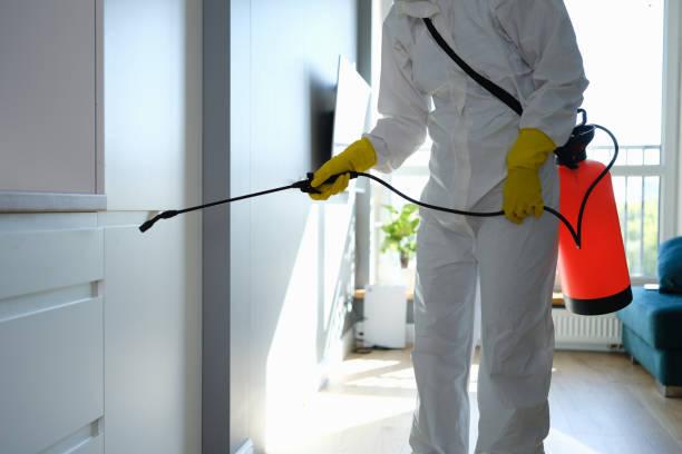 Best Best Mold Removal Companies  in Helemano, HI