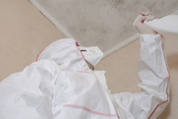 Best Mold Cleaning Services  in Helemano, HI